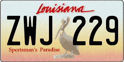 LA license plate ZWJ229