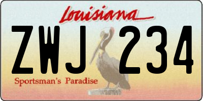 LA license plate ZWJ234