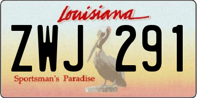 LA license plate ZWJ291