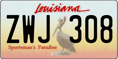 LA license plate ZWJ308