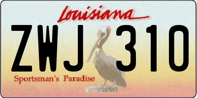 LA license plate ZWJ310