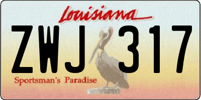LA license plate ZWJ317