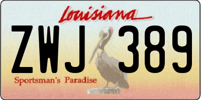 LA license plate ZWJ389