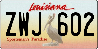 LA license plate ZWJ602