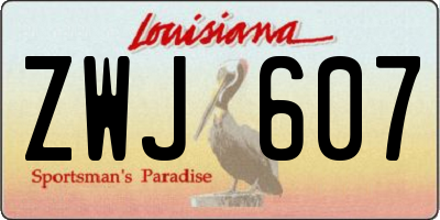LA license plate ZWJ607