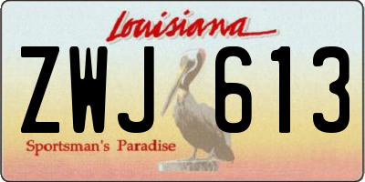 LA license plate ZWJ613