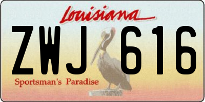 LA license plate ZWJ616