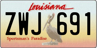 LA license plate ZWJ691