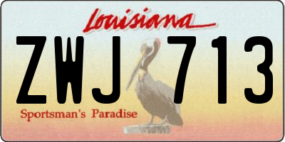 LA license plate ZWJ713