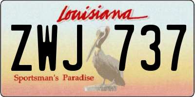 LA license plate ZWJ737