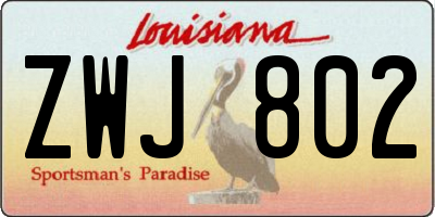 LA license plate ZWJ802