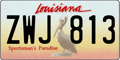 LA license plate ZWJ813