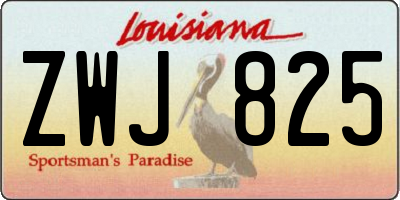 LA license plate ZWJ825