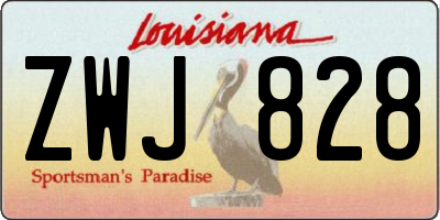 LA license plate ZWJ828