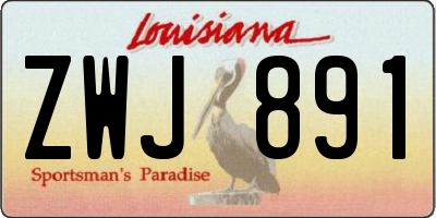 LA license plate ZWJ891