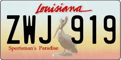 LA license plate ZWJ919