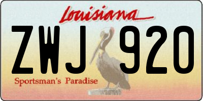 LA license plate ZWJ920