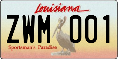 LA license plate ZWM001