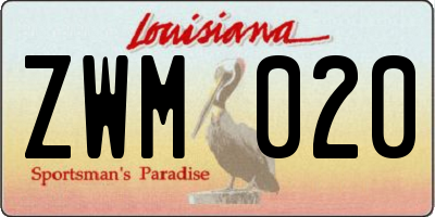 LA license plate ZWM020