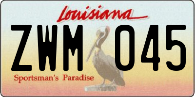 LA license plate ZWM045