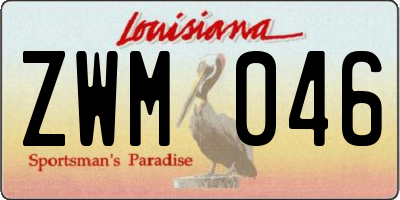 LA license plate ZWM046