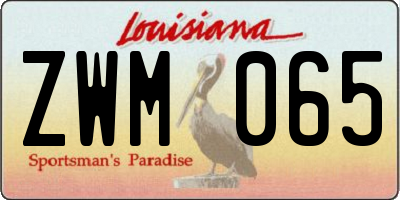 LA license plate ZWM065