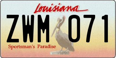 LA license plate ZWM071