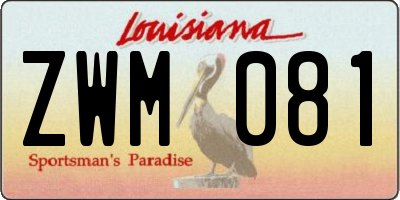 LA license plate ZWM081