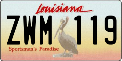 LA license plate ZWM119