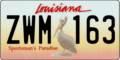 LA license plate ZWM163