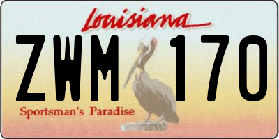 LA license plate ZWM170