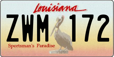 LA license plate ZWM172