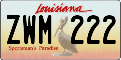 LA license plate ZWM222