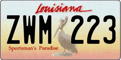 LA license plate ZWM223