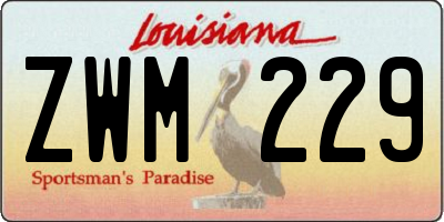 LA license plate ZWM229