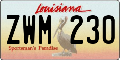 LA license plate ZWM230