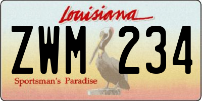 LA license plate ZWM234