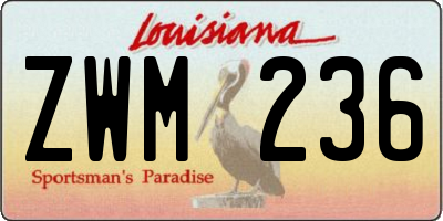 LA license plate ZWM236