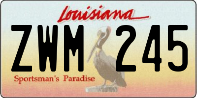 LA license plate ZWM245