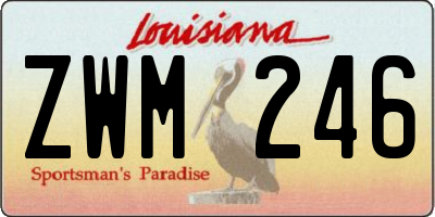 LA license plate ZWM246