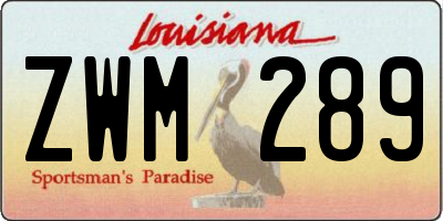 LA license plate ZWM289