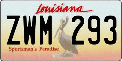 LA license plate ZWM293