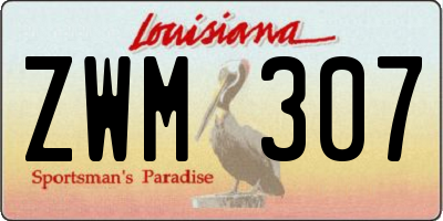 LA license plate ZWM307