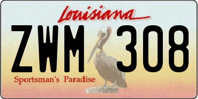LA license plate ZWM308
