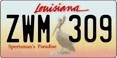 LA license plate ZWM309