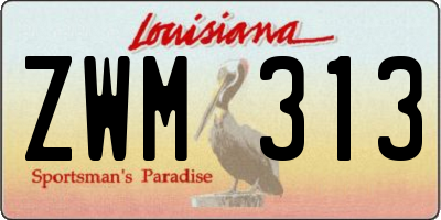 LA license plate ZWM313