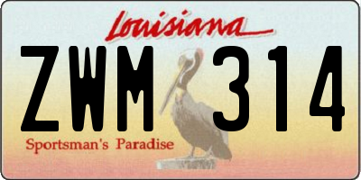 LA license plate ZWM314