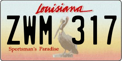 LA license plate ZWM317