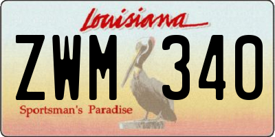 LA license plate ZWM340