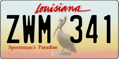LA license plate ZWM341